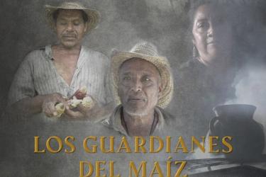 Three faces of indigenous people superimposed against a dark background depicting corn fields