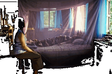 animated gif of person in dark room sitting in front of a bed with netting disappearing 